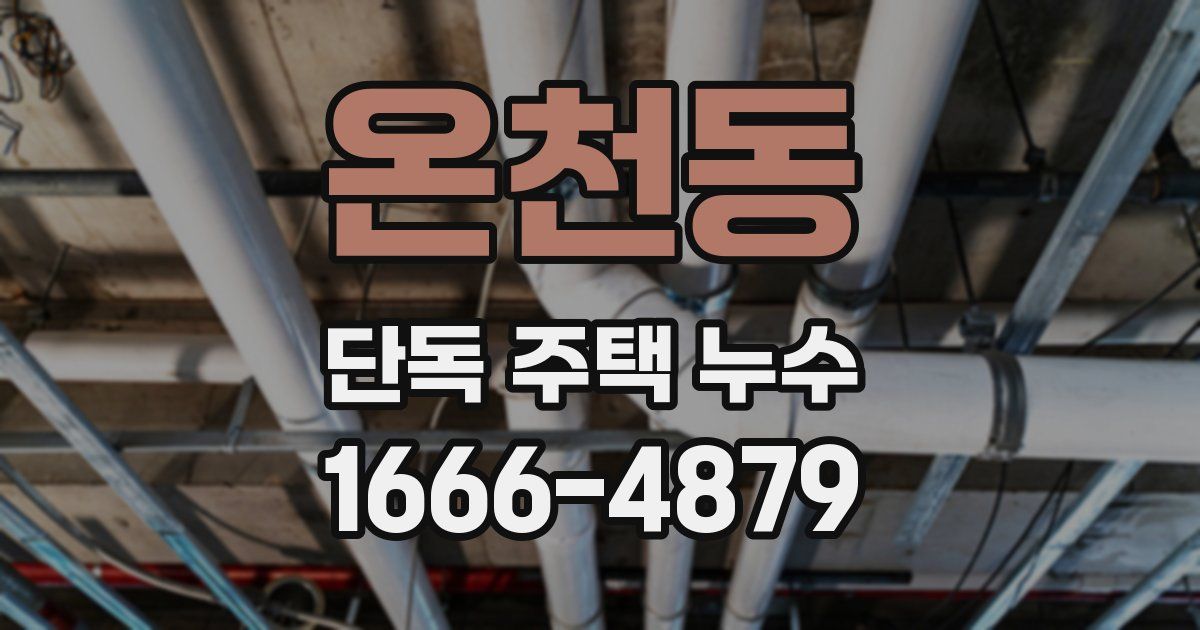 온천동 단독 주택 누수