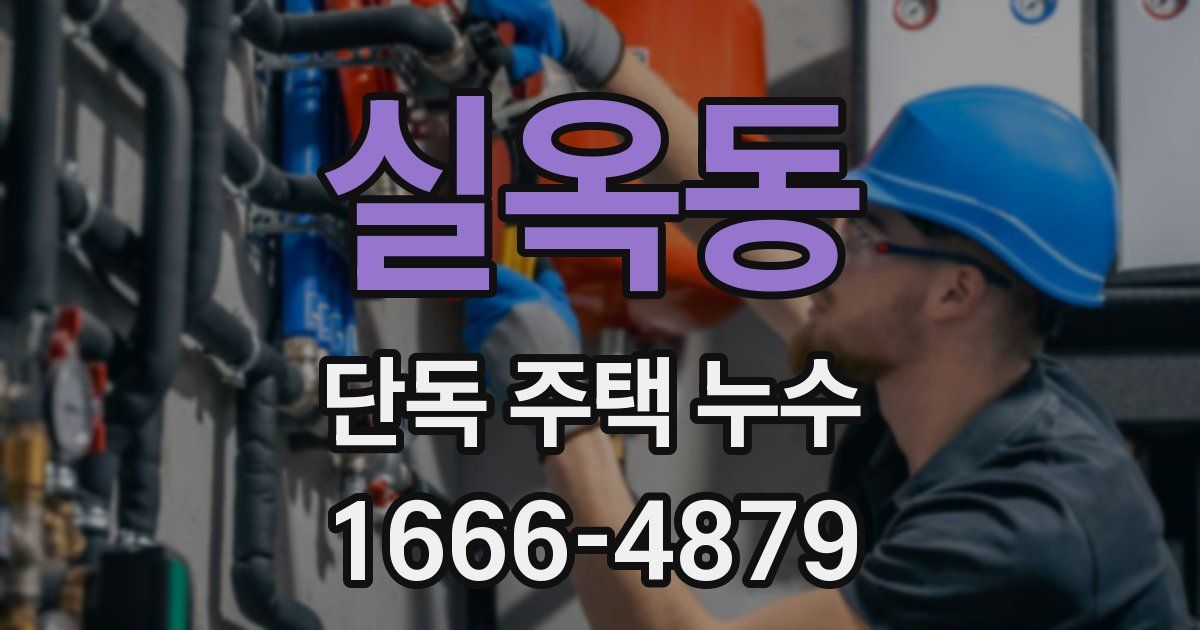 실옥동 단독 주택 누수