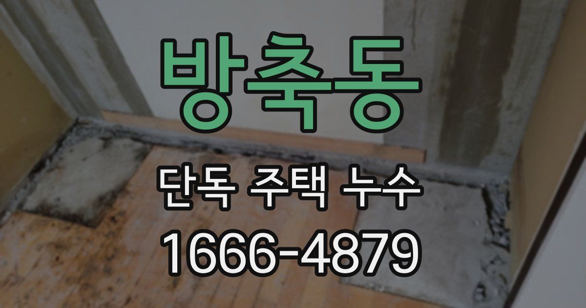 방축동 단독 주택 누수