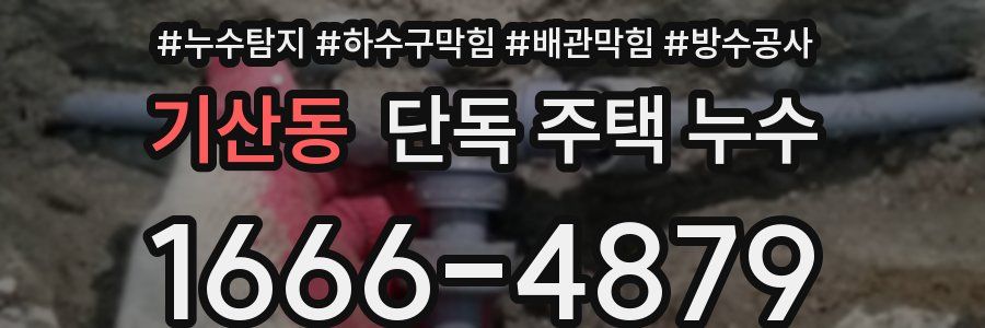 기산동 단독 주택 누수