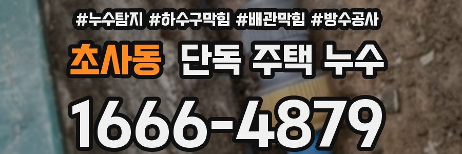 초사동 단독 주택 누수
