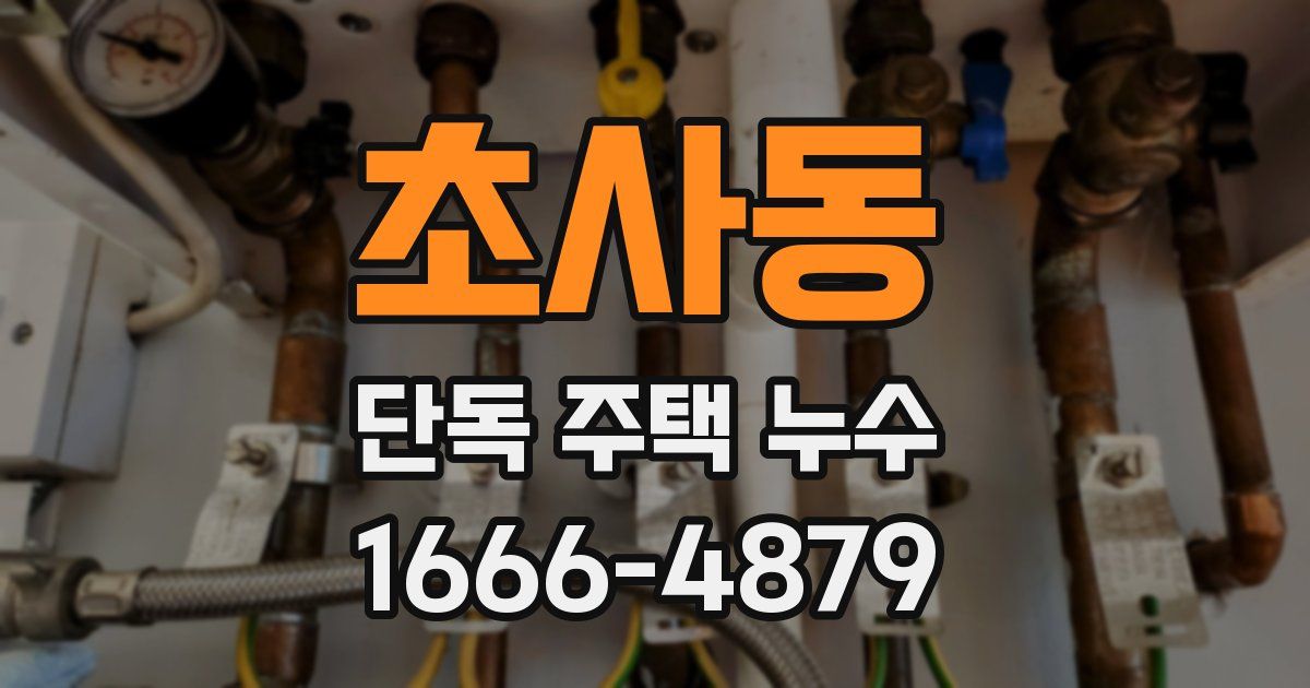 초사동 단독 주택 누수