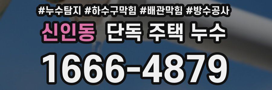 신인동 단독 주택 누수