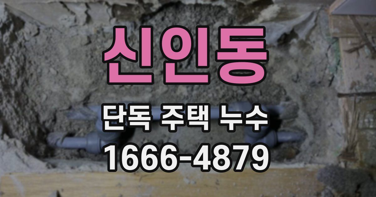 신인동 단독 주택 누수