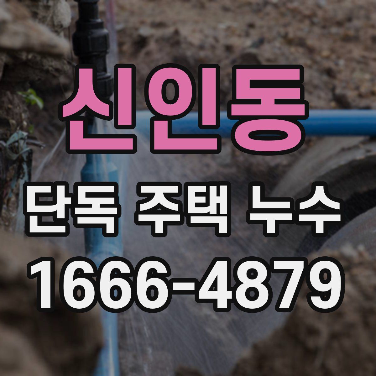신인동 단독 주택 누수