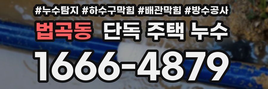 법곡동 단독 주택 누수