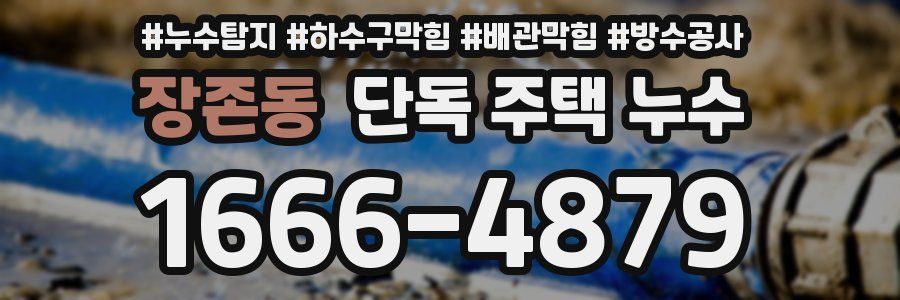 장존동 단독 주택 누수
