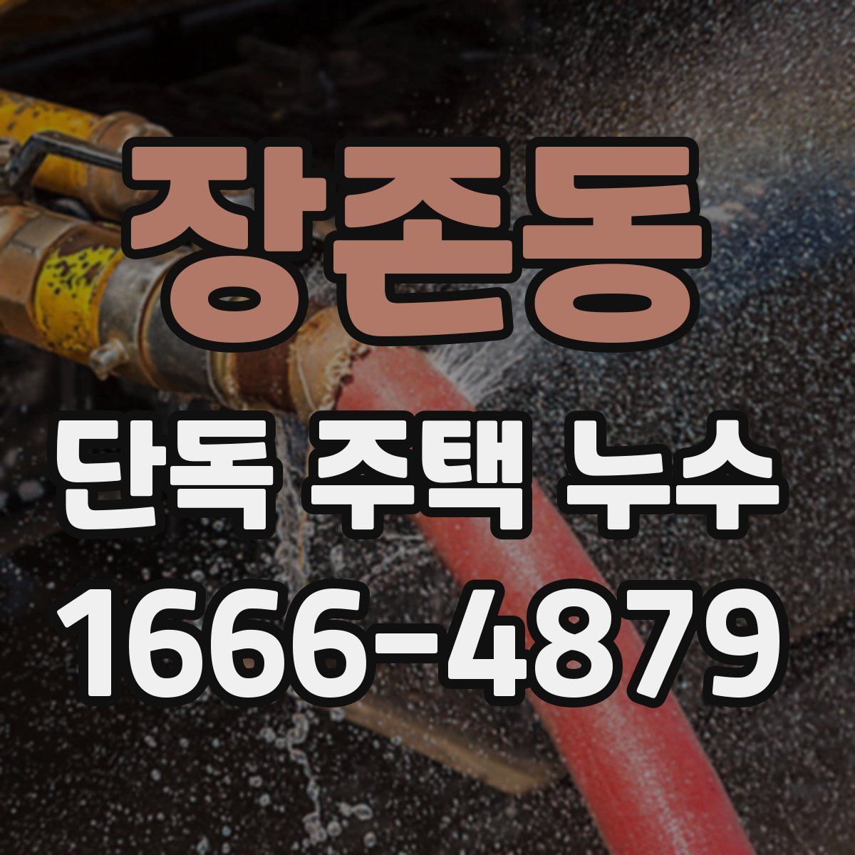 장존동 단독 주택 누수