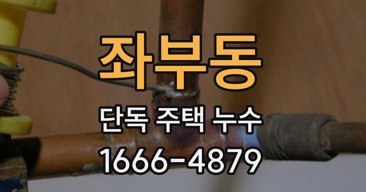 좌부동 단독 주택 누수