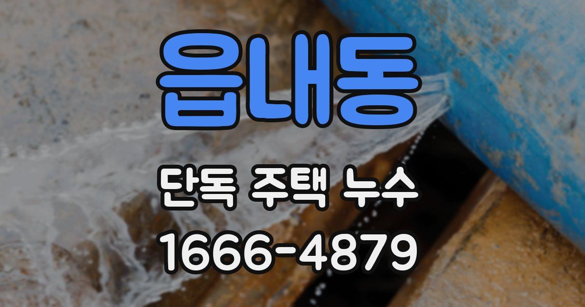 읍내동 단독 주택 누수