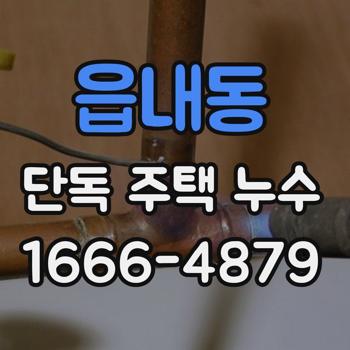 읍내동 단독 주택 누수