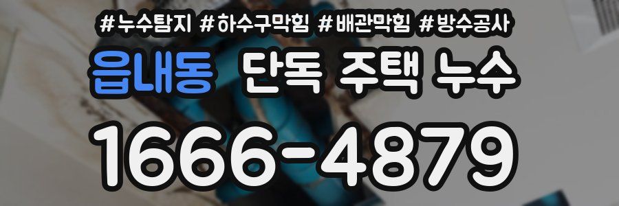 읍내동 단독 주택 누수