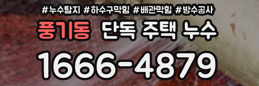 풍기동 단독 주택 누수