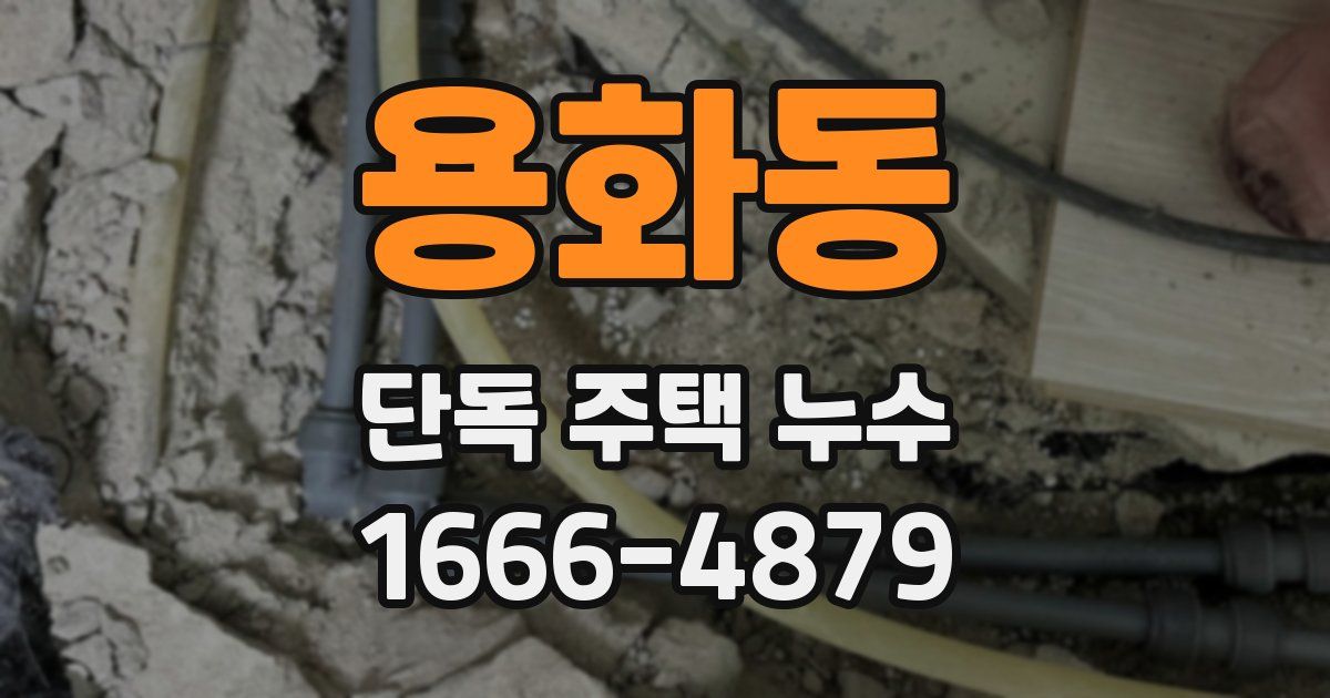용화동 단독 주택 누수