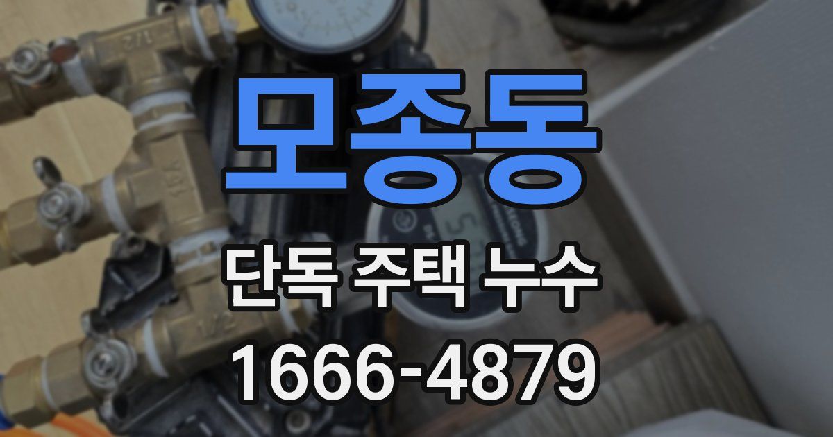 모종동 단독 주택 누수