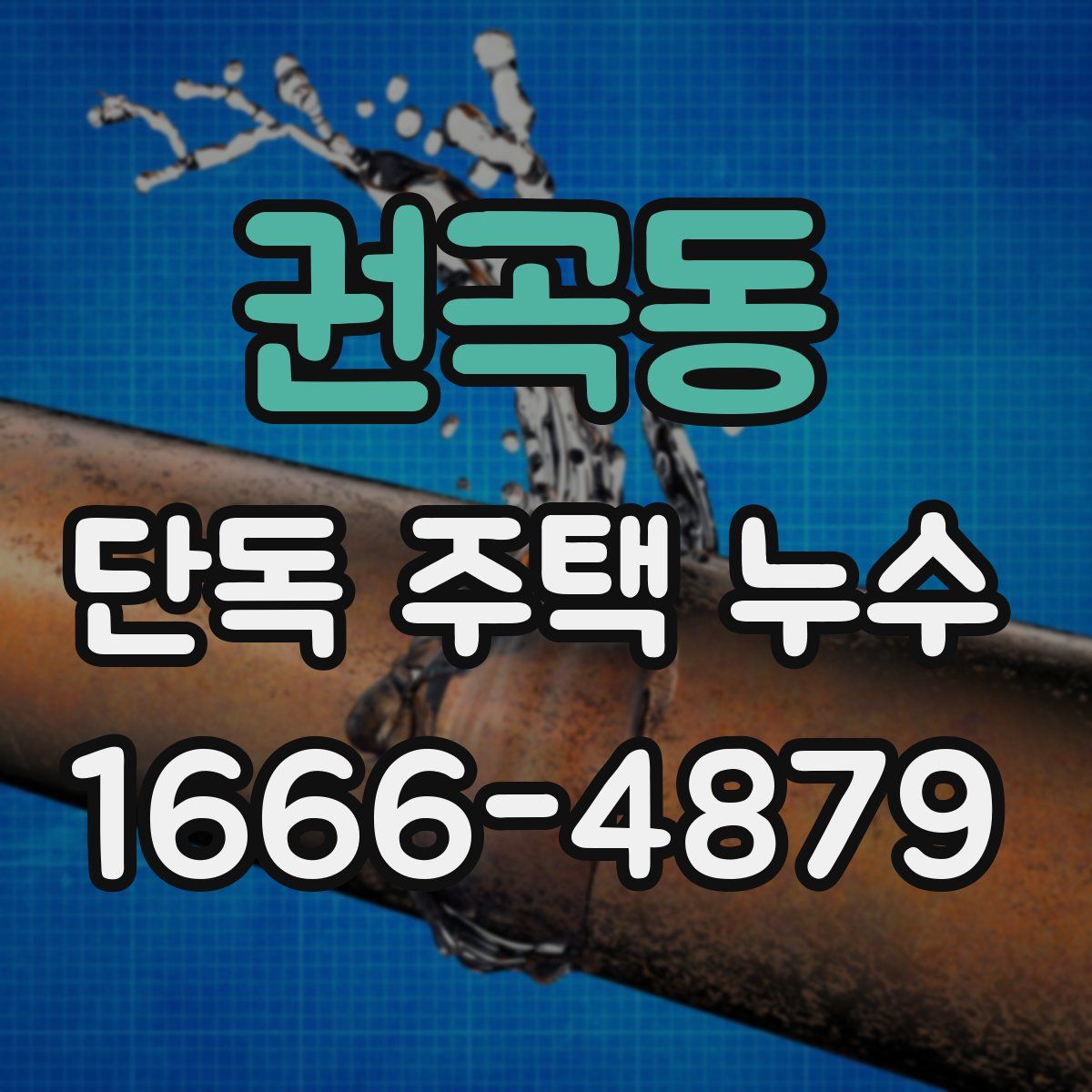 권곡동 단독 주택 누수