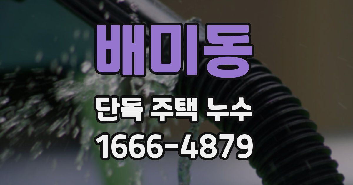 배미동 단독 주택 누수
