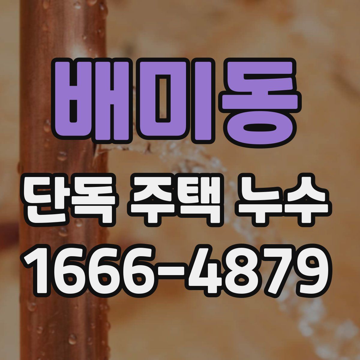 배미동 단독 주택 누수