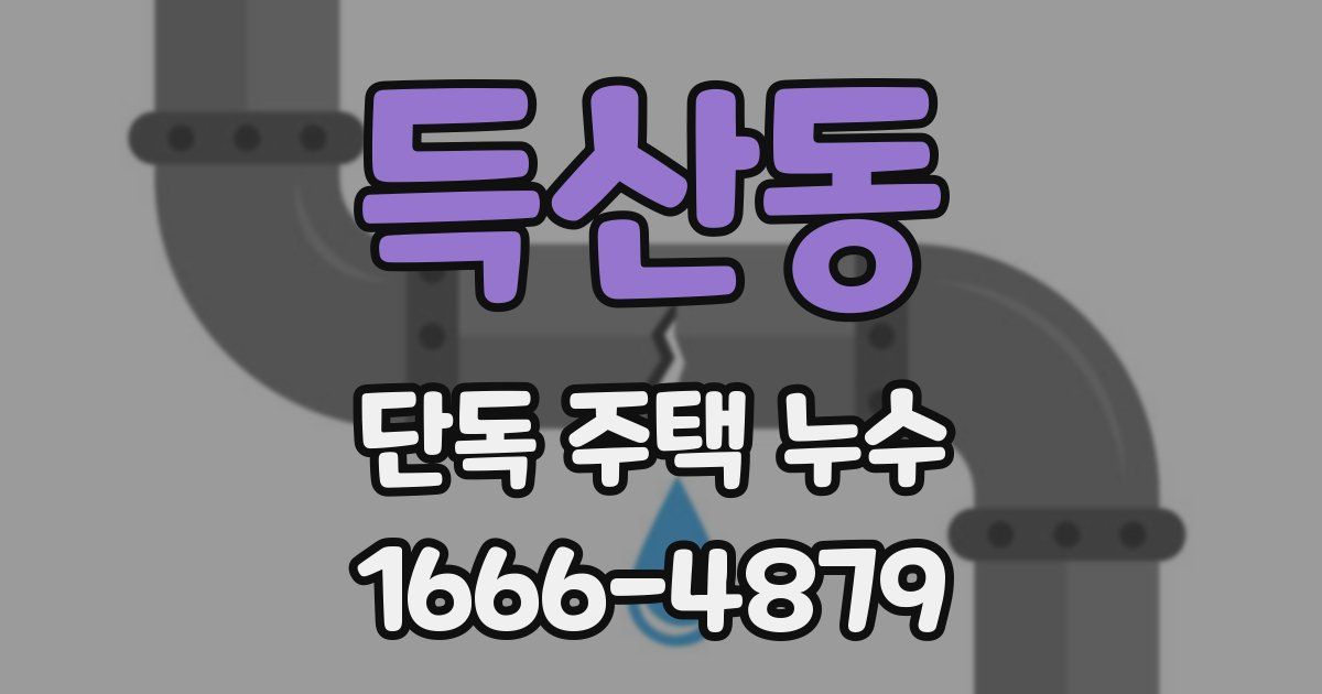 득산동 단독 주택 누수