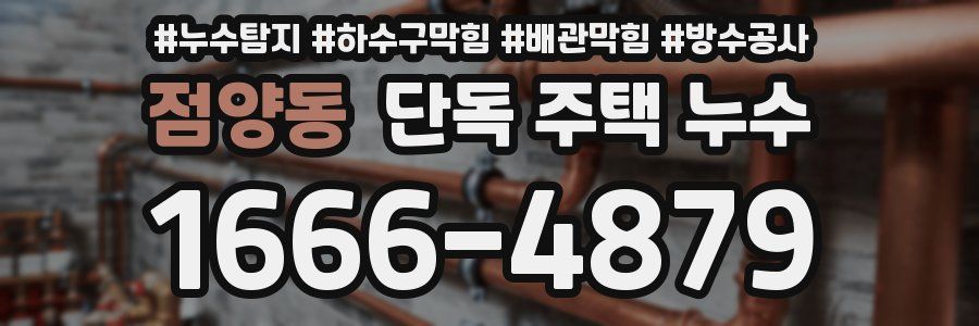 점양동 단독 주택 누수