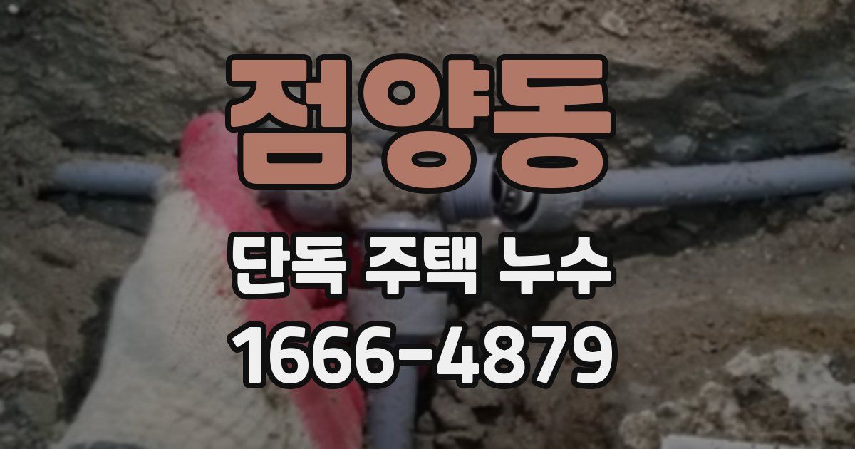 점양동 단독 주택 누수