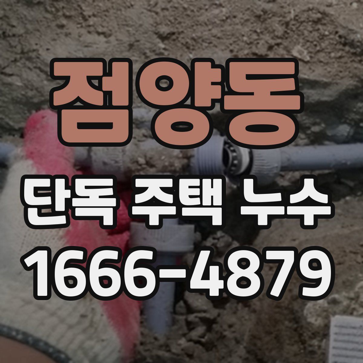점양동 단독 주택 누수
