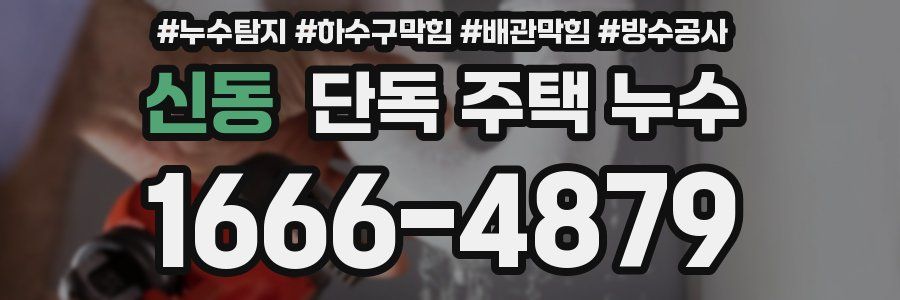 신동 단독 주택 누수