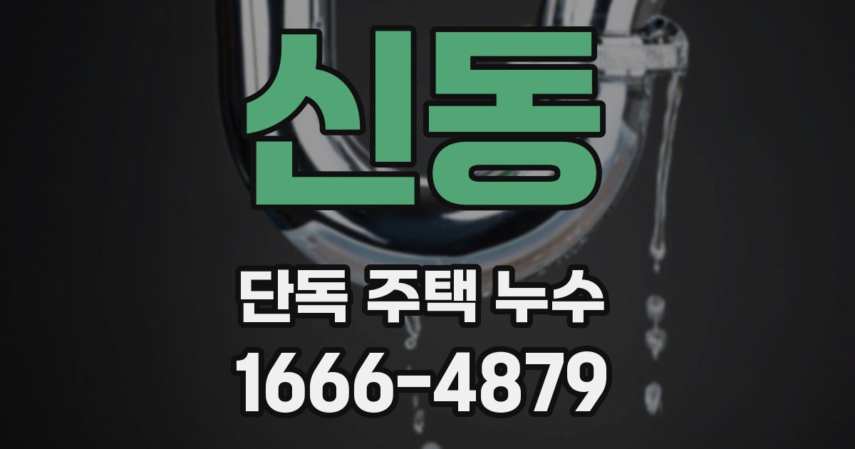 신동 단독 주택 누수