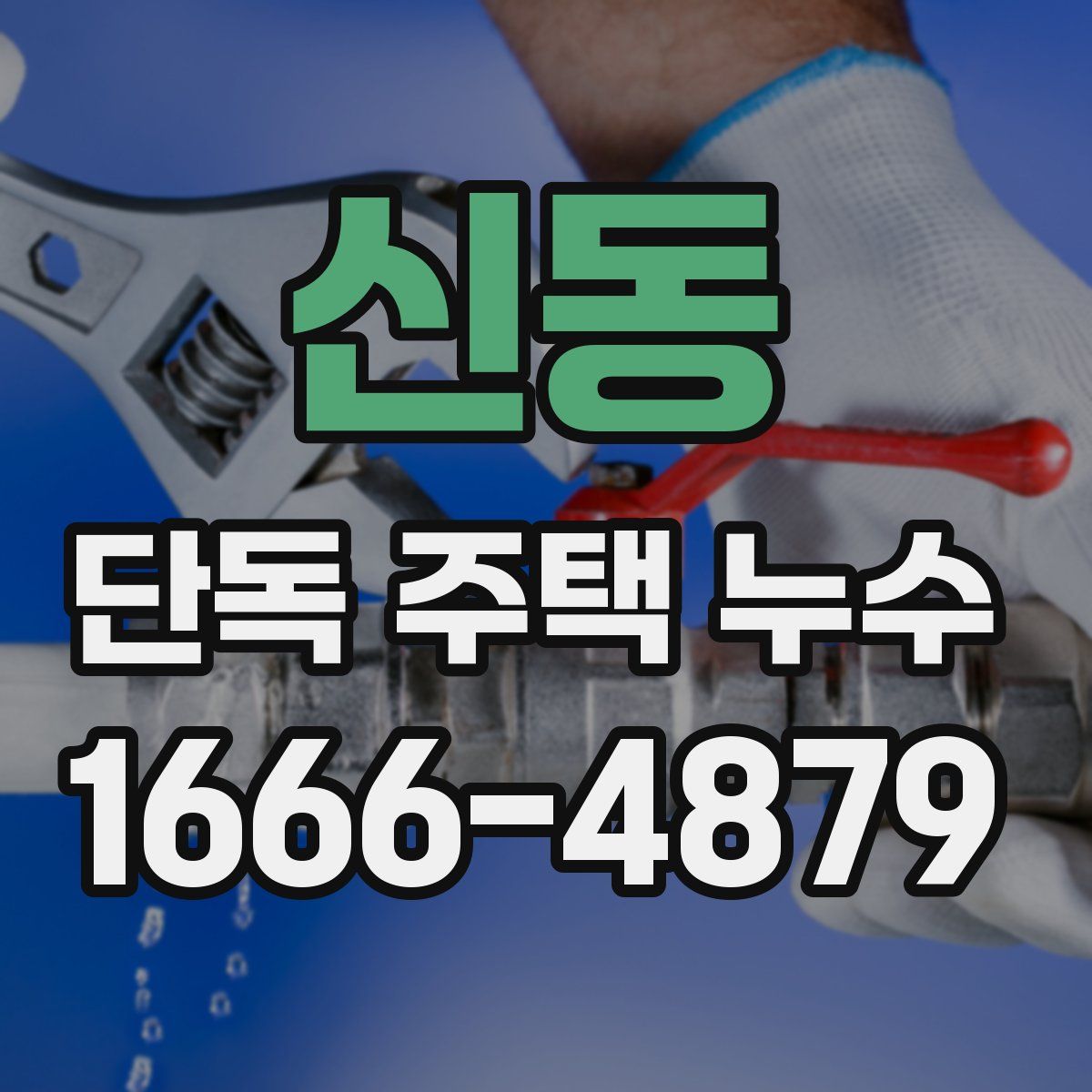신동 단독 주택 누수
