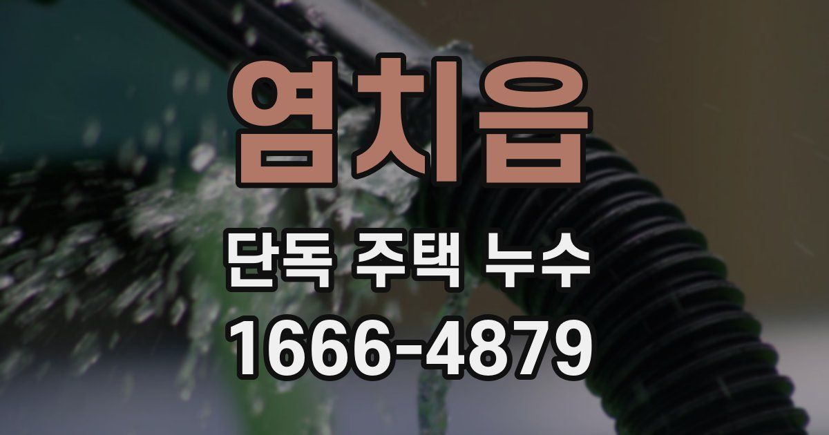 염치읍 단독 주택 누수
