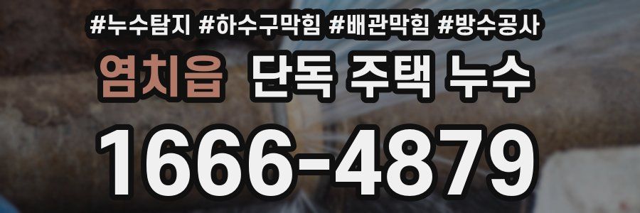염치읍 단독 주택 누수