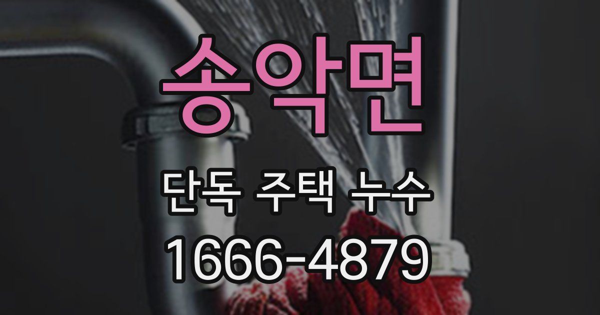 송악면 단독 주택 누수