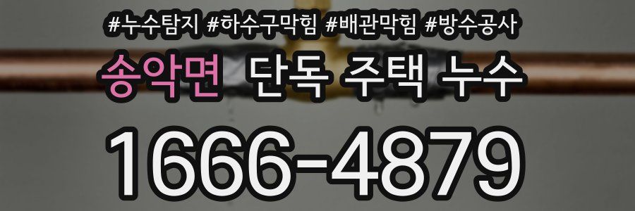 송악면 단독 주택 누수