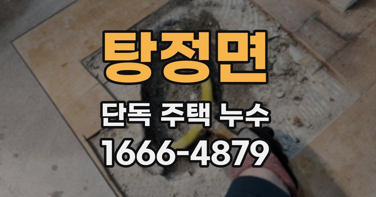 탕정면 단독 주택 누수