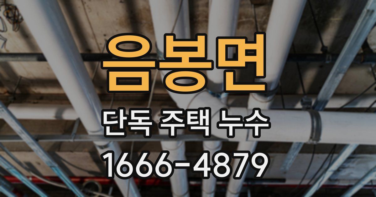 음봉면 단독 주택 누수