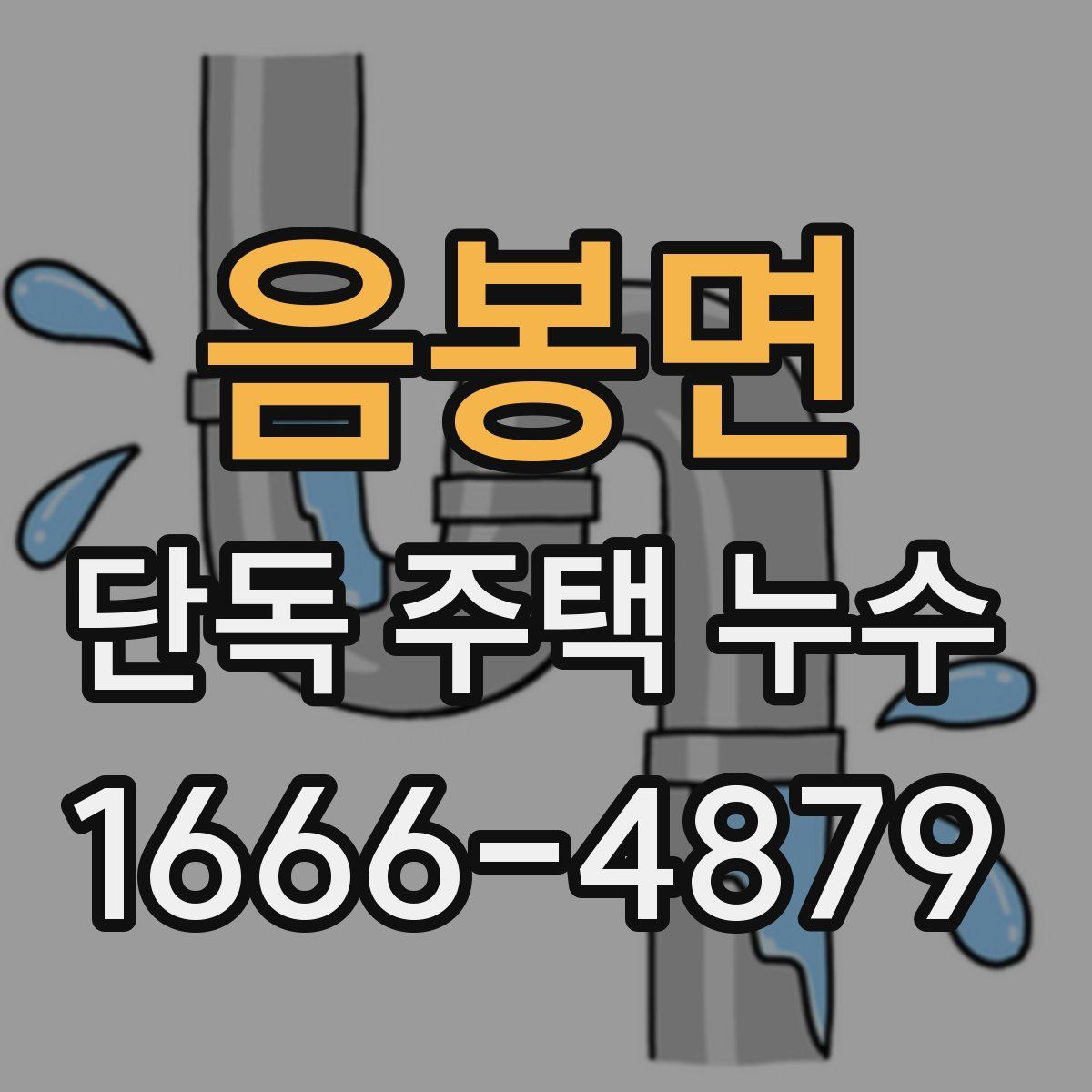 음봉면 단독 주택 누수