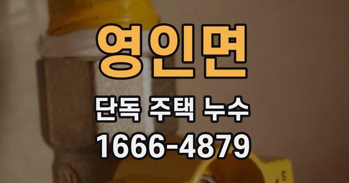영인면 단독 주택 누수