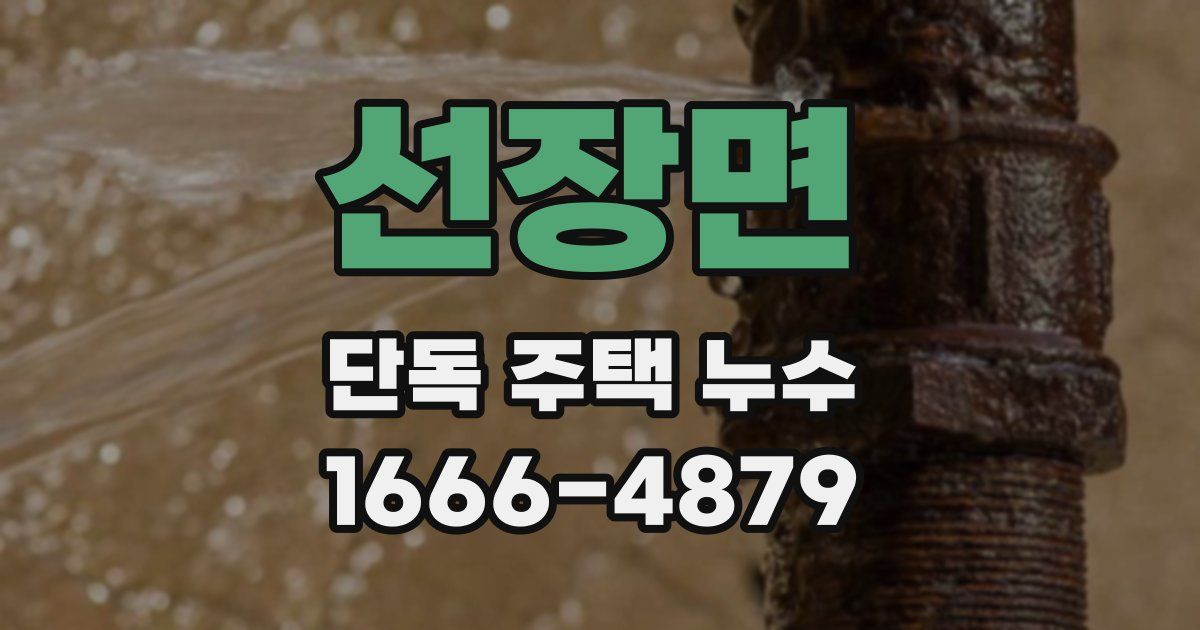 선장면 단독 주택 누수