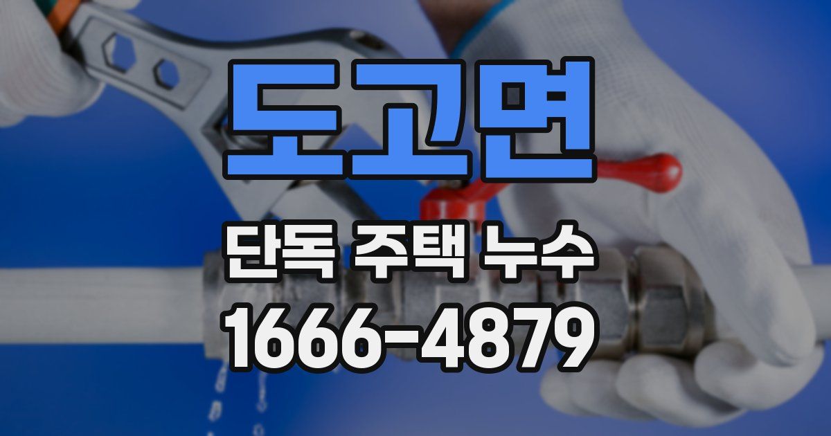 도고면 단독 주택 누수