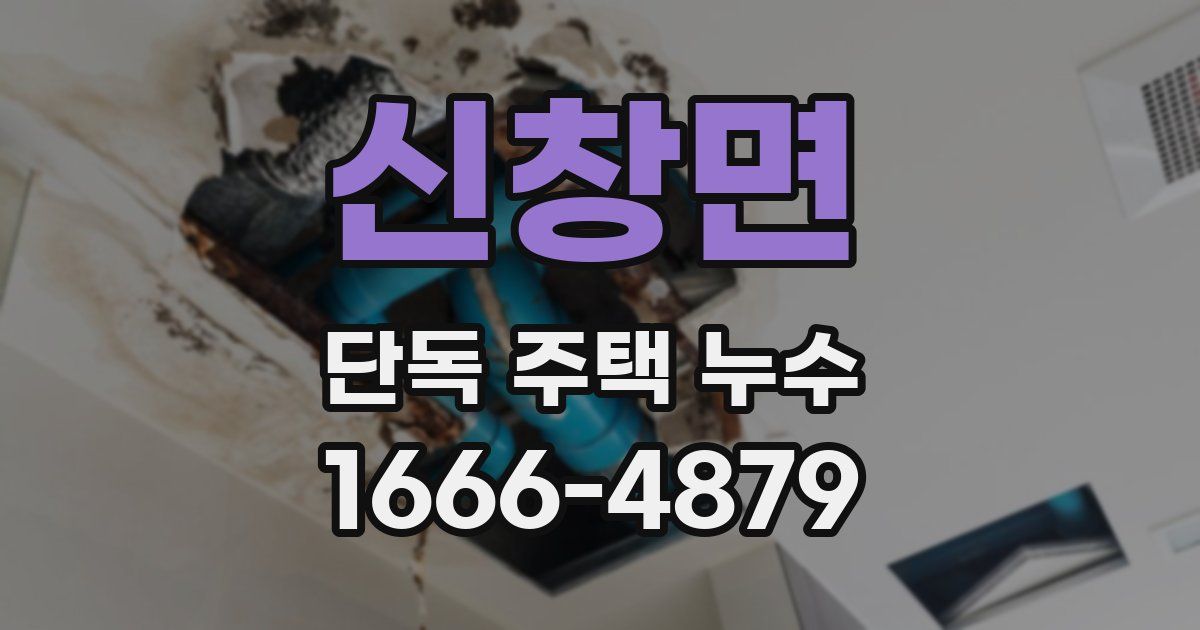 신창면 단독 주택 누수