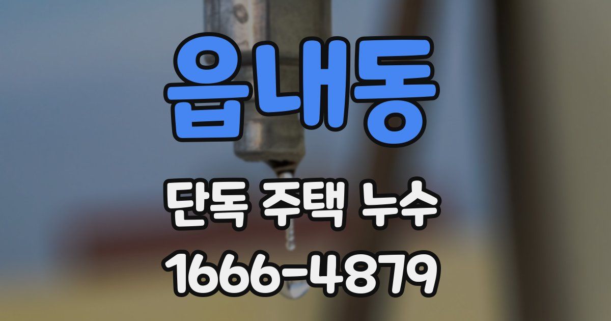 읍내동 단독 주택 누수