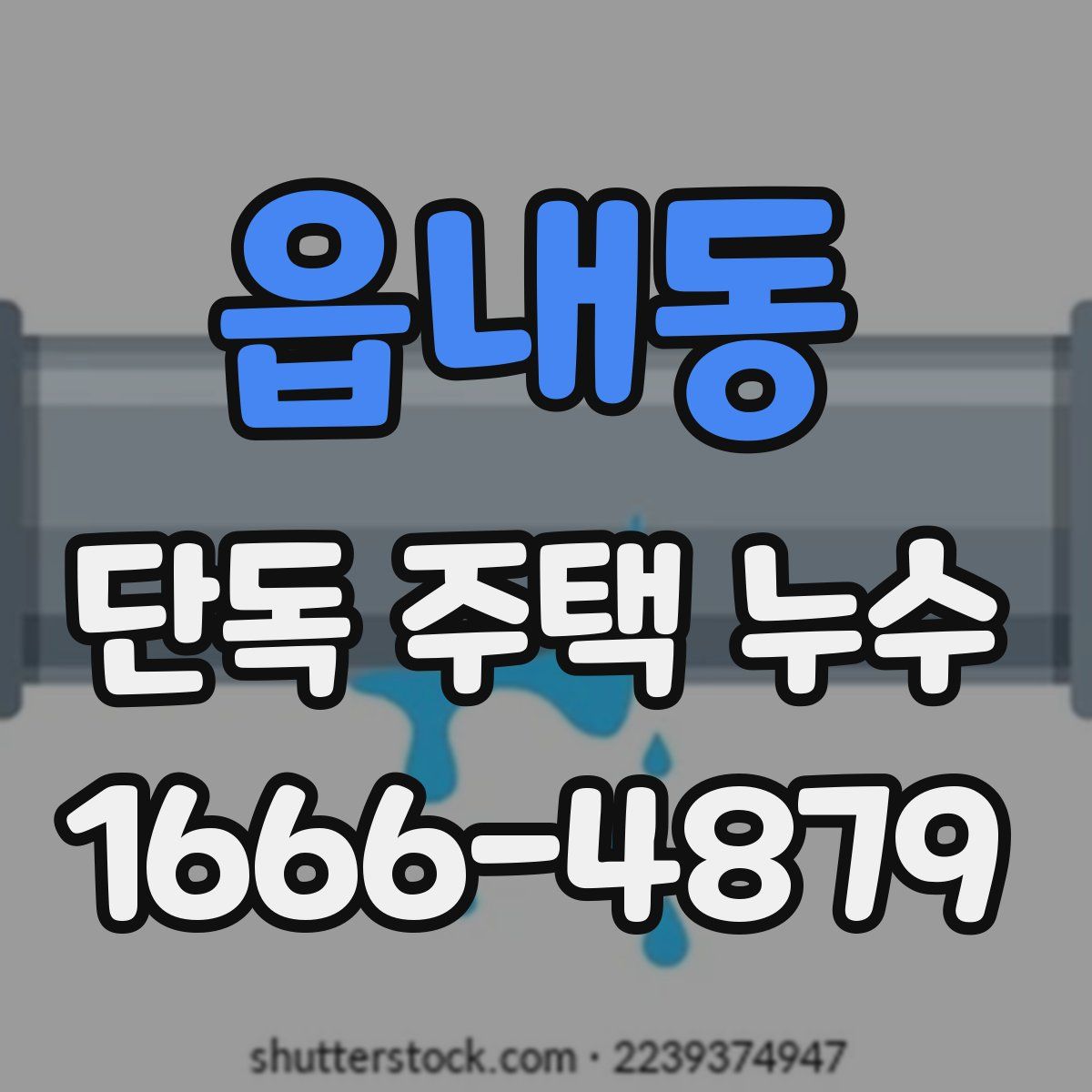 읍내동 단독 주택 누수