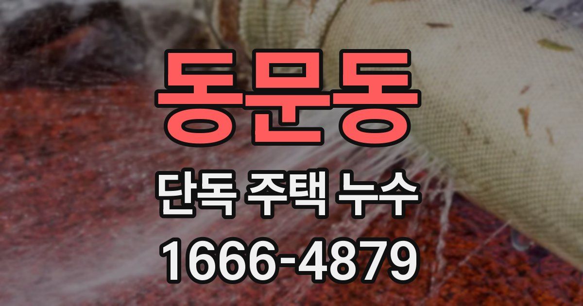 동문동 단독 주택 누수
