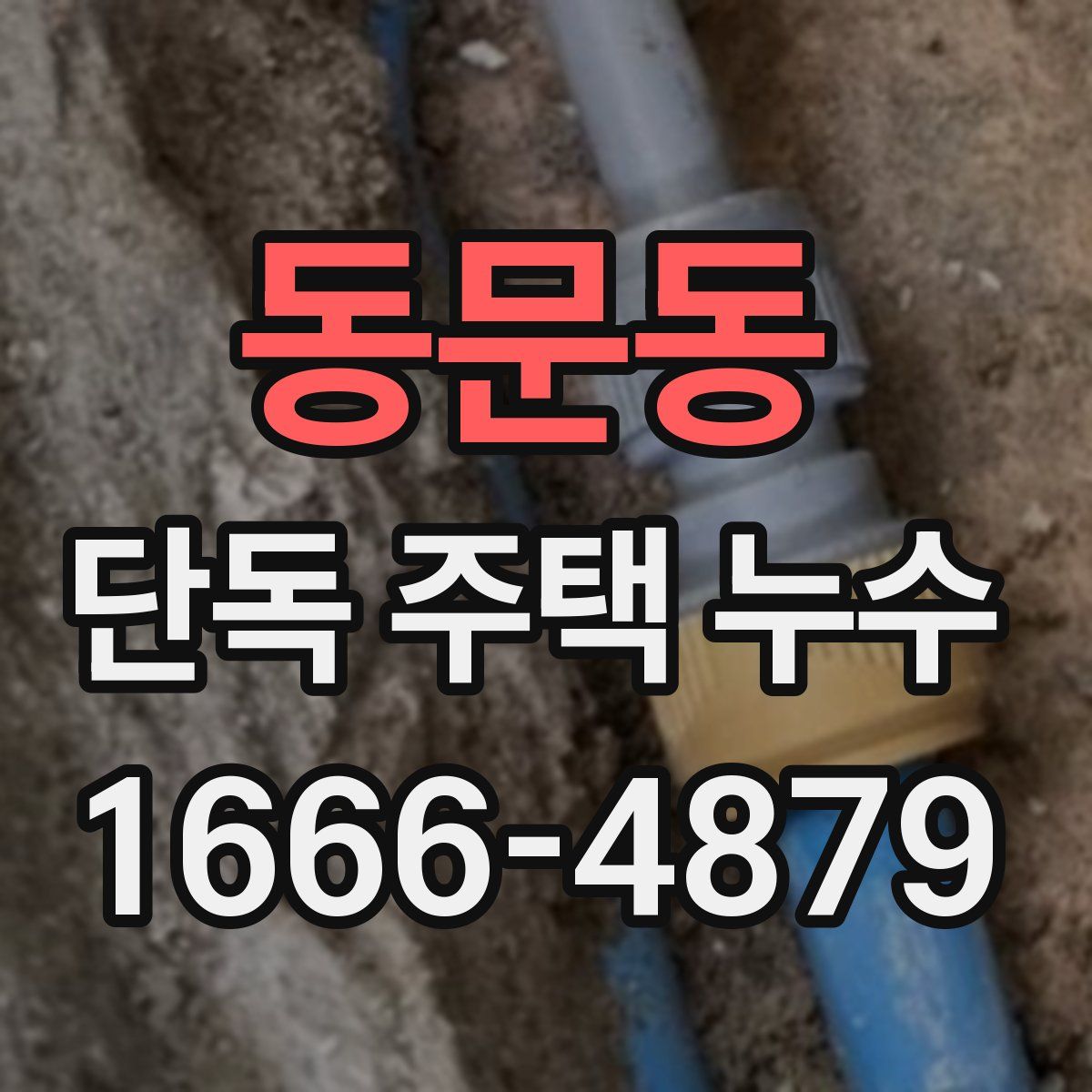 동문동 단독 주택 누수