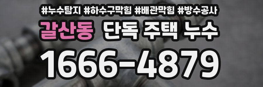 갈산동 단독 주택 누수