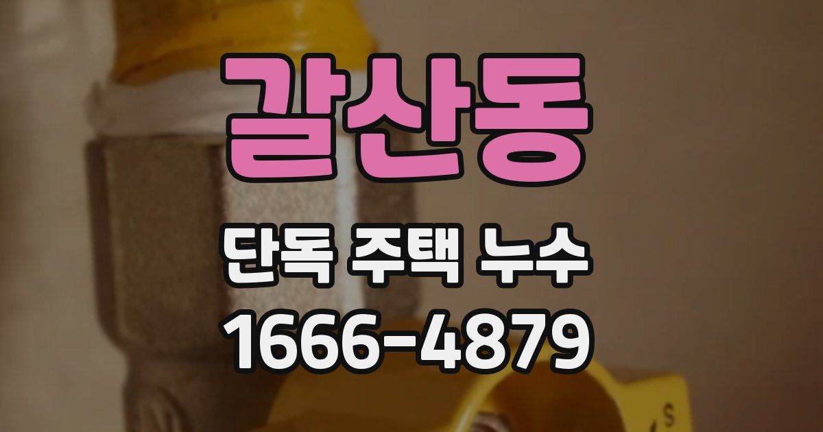갈산동 단독 주택 누수