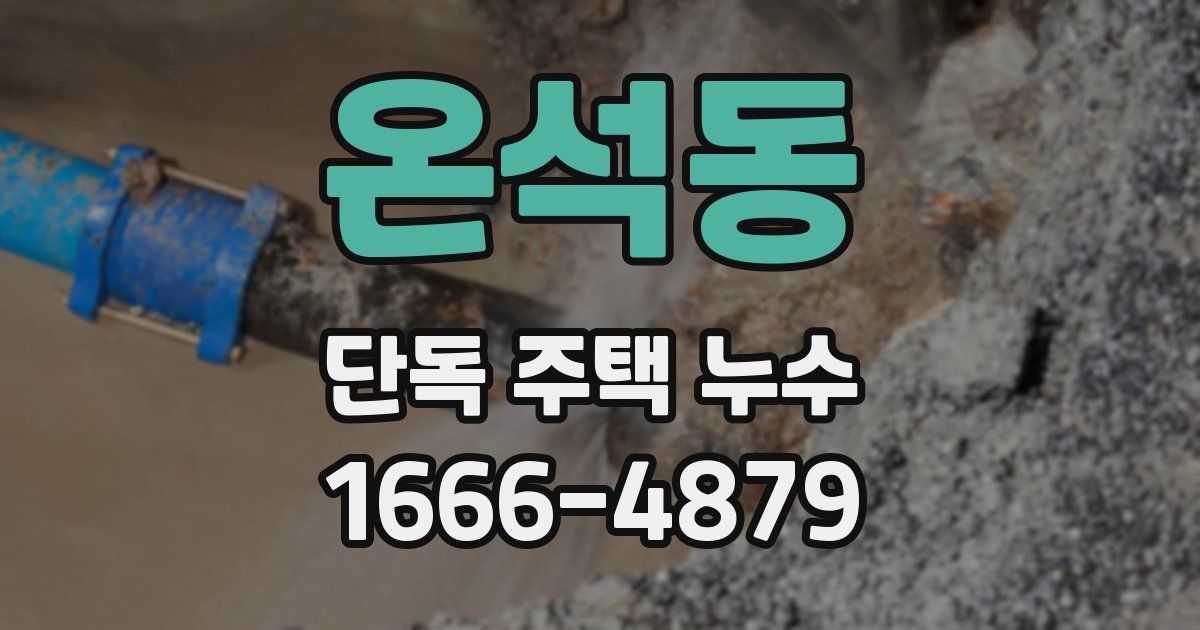 온석동 단독 주택 누수