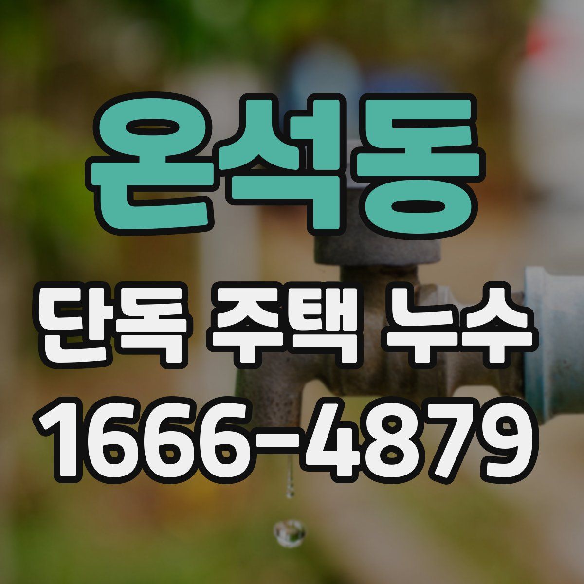 온석동 단독 주택 누수