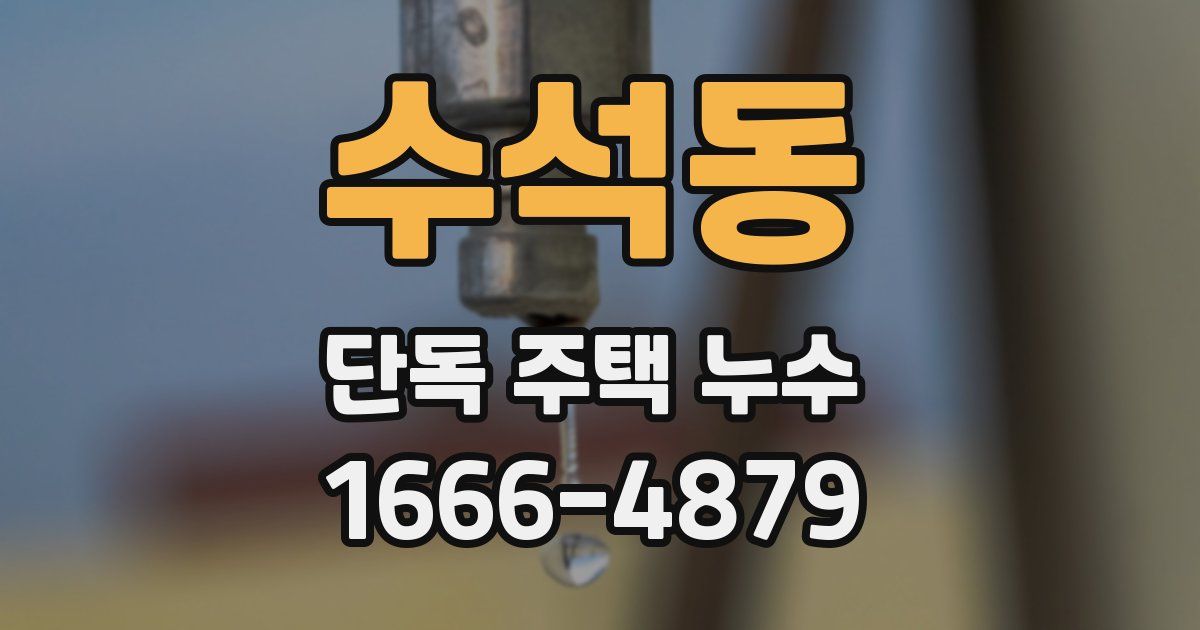 수석동 단독 주택 누수