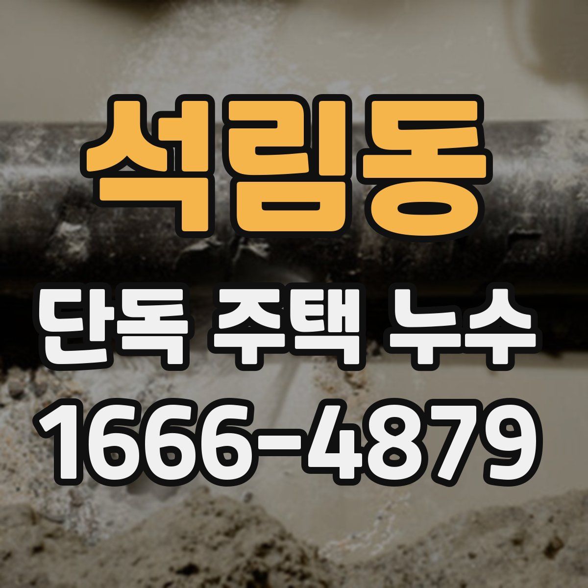 석림동 단독 주택 누수